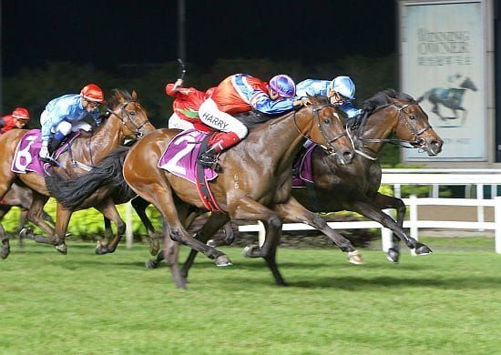 Harry proves super-sub in Stewards' Cup