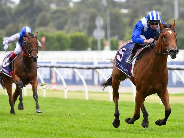 Stackhouse gets Golden Slipper chance