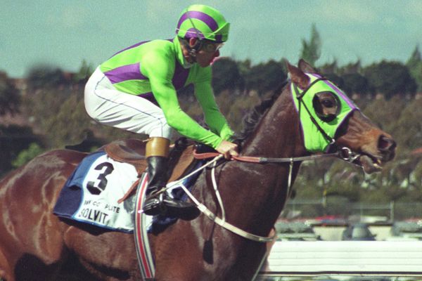The little horse who won hearts and a great race