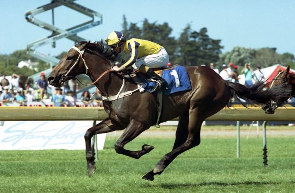 Unforgettable Cox Plates for O’Sullivan