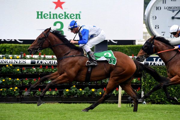 Kiwis strike again in G1 Canterbury Stakes
