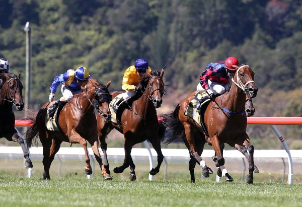 Tinkalicious gets breakthrough victory in Cuddle Stakes