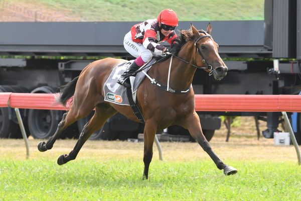 Youthful Hawke’s Bay team prepare for spring