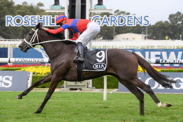 Field of 13 for G1 Queen Elizabeth Stakes