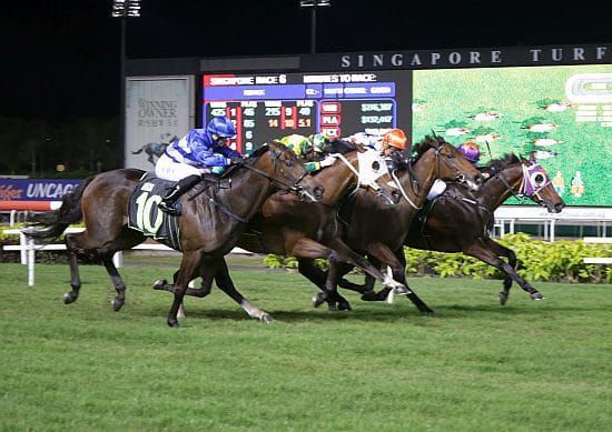 War Pride shares the spoils in Novice