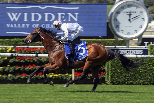 Doubtland dominant in Kindergarten Stakes