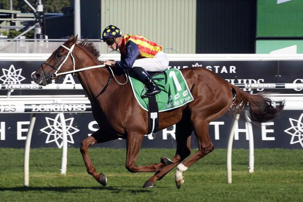 Nature Strip wins TJ Smith