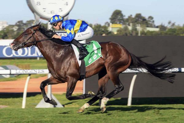 Dawn Passage gets Group Three win on board