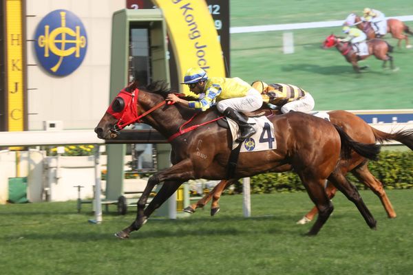 Karaka gradutes land notable wins for connections