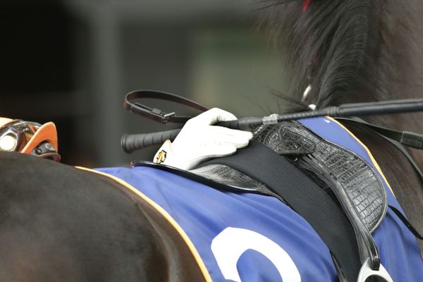 NZTR announce initial stakes money