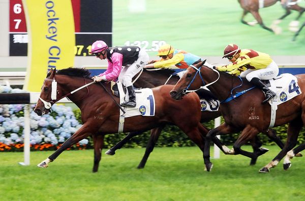 Dynamic duo aim for Champions Mile three-peat