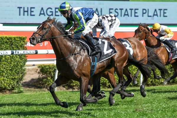 Blinkers for Brandenburg in WFA All Aged