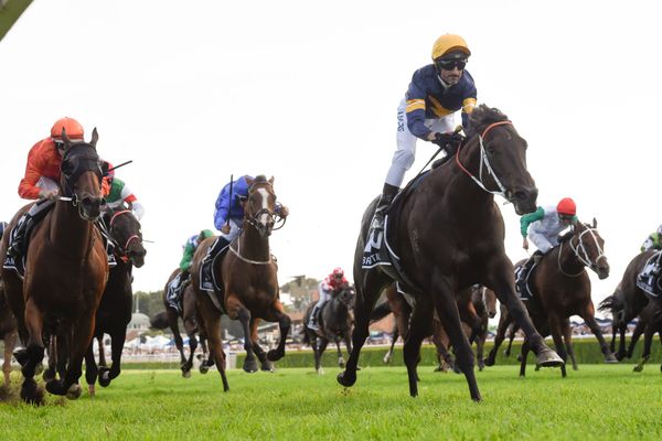 Group One winner retired to stud