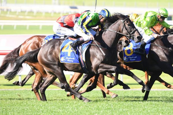 Clementina delivers at Sandown