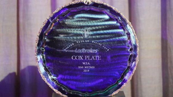 MVRC to explore a night-time Cox Plate