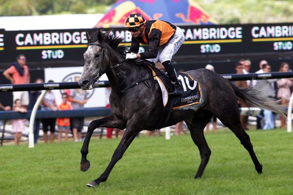 Bax excited for Danzdanzdance’s spring prospects