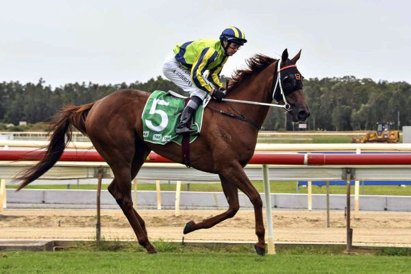 Group Three target for Kiwi transfer
