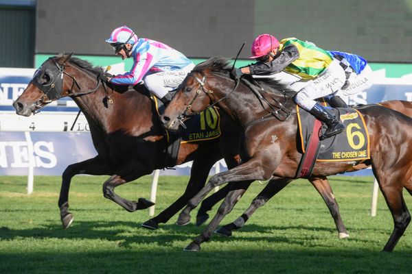 Kiwi mare lands Sydney Cup