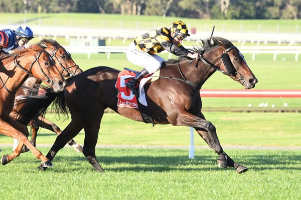 Black-type tests ahead for Excelida