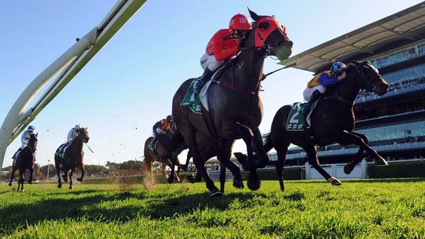 Redzel nearing the end of career