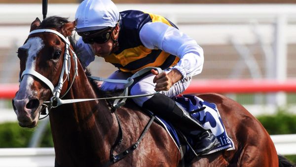 Popular galloper Tom Melbourne retired