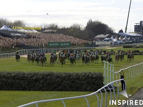 Restricted field sizes for British racing