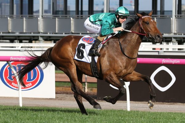 WA life agreeing with Humidor