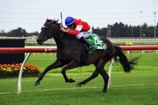 Guineas tilt for Icebath