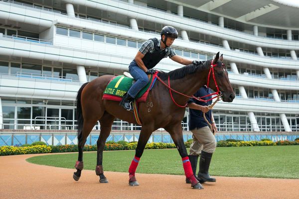 Japan behind closed doors until June