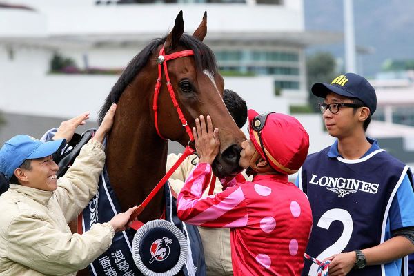 Mr Stunning bows out a winner