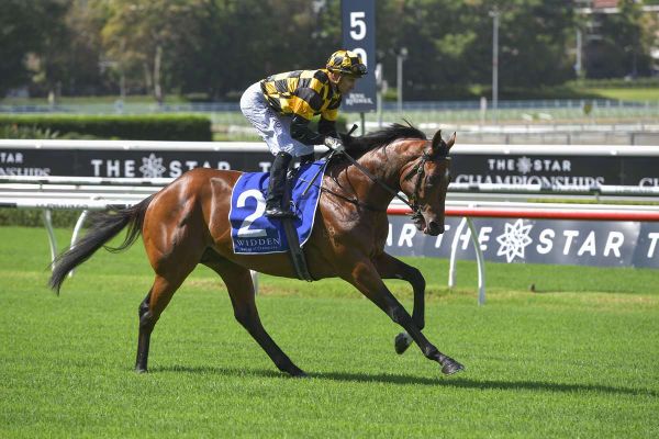 Pike plumps for Sunshine Coast option