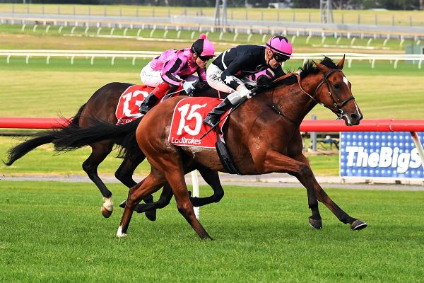 Open Minded continues perfect run