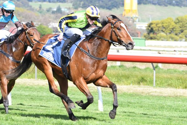 Petagna pair tackle Sydney assignments