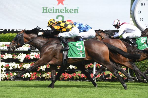 Probabeel flies NZ flag in Australian Oaks
