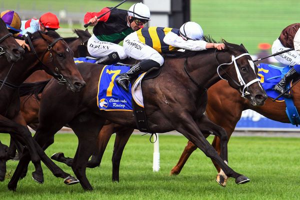 Selica freshened for Rivette Series races