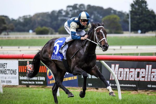 Sierra Sue on the cusp of Tiara tilt