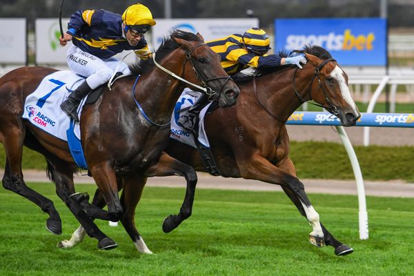 Sky’s the limit for Tavistock filly