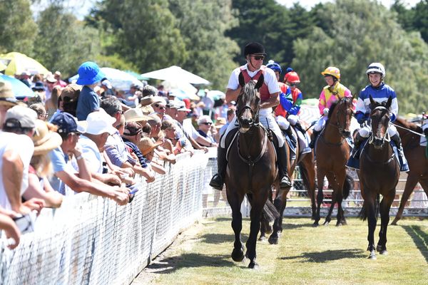 Ritchie calls for track additions to calendar