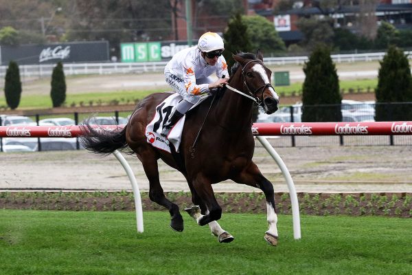 Stakes targets for Tavistock duo