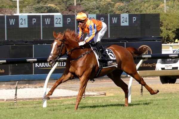 Te Akau Shark to be vetted ahead of Queen Elizabeth