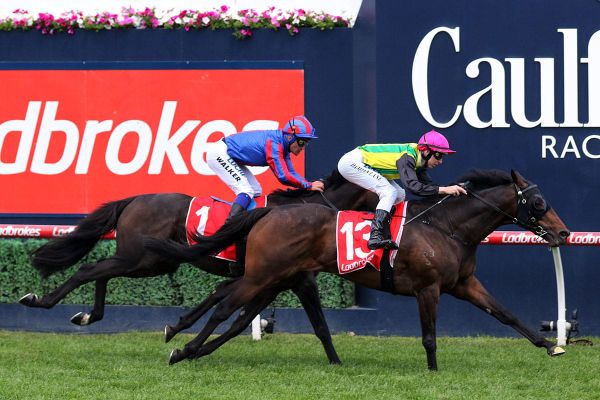Sydney Cup the chosen race for Kiwi stayer