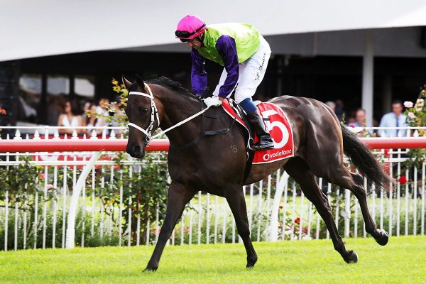 Re-charged Campbell ready for fresh start