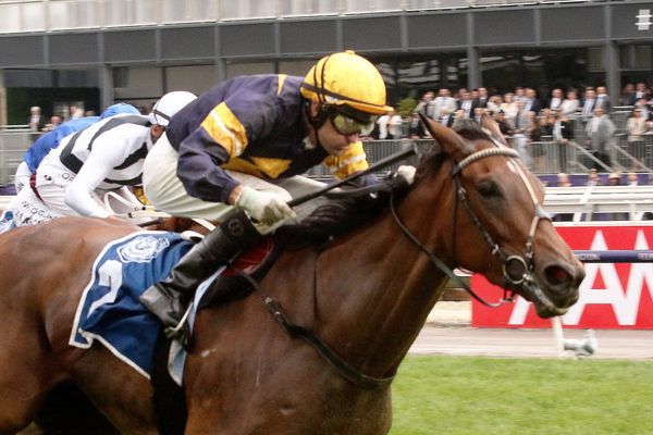Stamina to play into Tofane’s favour