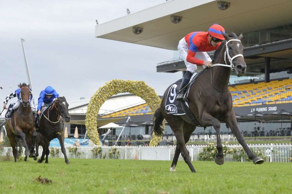 Beaten Verry Elleegant brave yet again