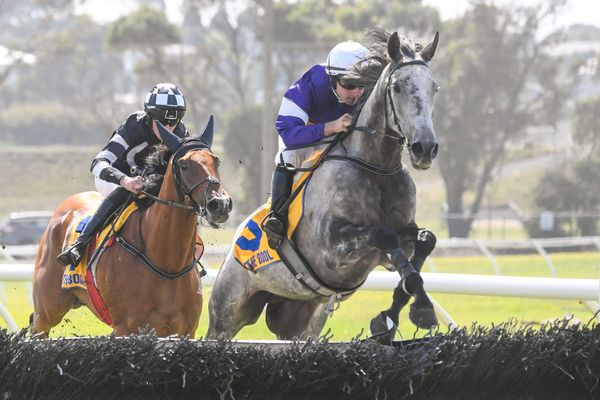 Woodsman pleases in Terang Cup