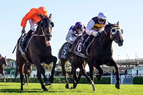 Zebrowski brightens Windsor Park bubble