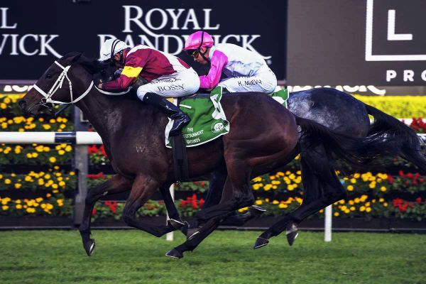 Another Dollar added to racemare's price