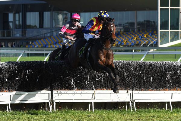 Ablaze entered for two Sandown jumps races