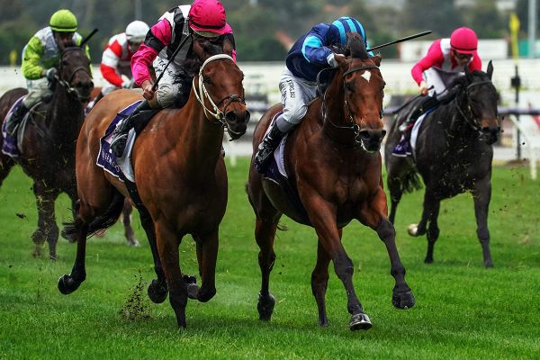 Hat-trick for resurrected Alfa Oro