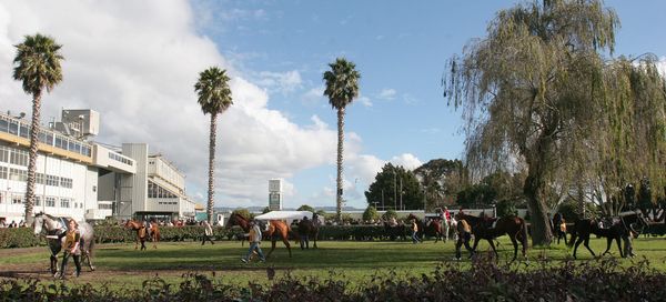 Venues reduced under draft racing calendar proposal